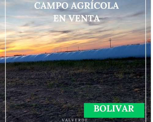 Campo en Bolivar 330 Has
