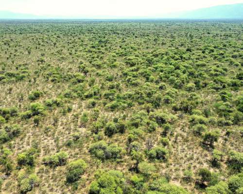 Campo para Cultivo de Olivos, 449ha, Valle Viejo, Catamarca.