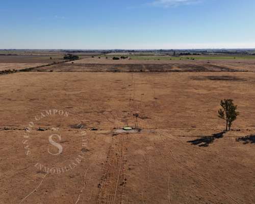 Venta Campo Ganadero. Pilar, Santa FE. 130 HA.