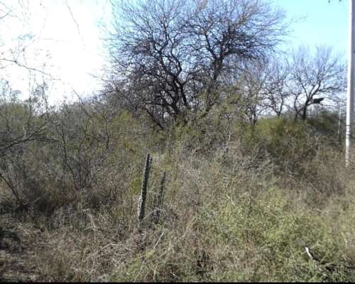 Hectareas en San Agustín Valle Fertil