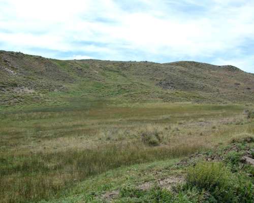 Estancia 26.000 Ha Santa Cruz Zona Perito Moreno