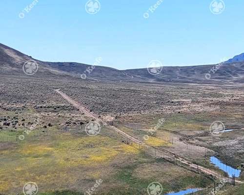 Campo en Venta 4394 Has en las Bayas, Bariloche. Ganadero.