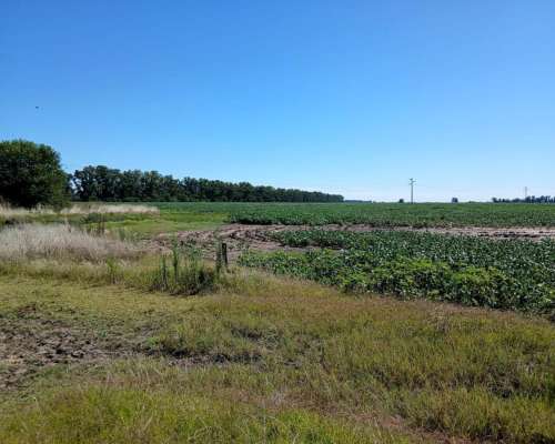 Pintoresco Casco en Suipacha