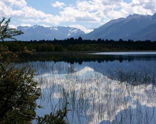 Campo Agreste con Costa del Lago Lezama-cholila-chubut
