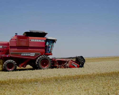 Nueva V-1550 - Nuevo Motor