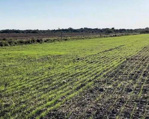 Se Arrienda Campo Mixto en Corrientes