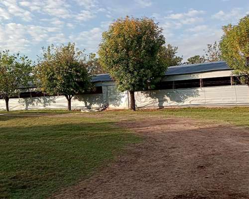 Granja Avícola. 92.000 Pollos Entre Rios