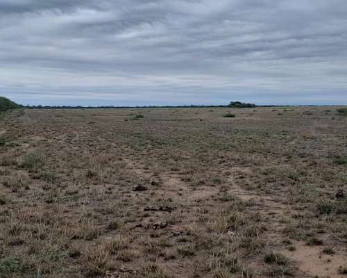 Vende Excelente Campo Ganadero