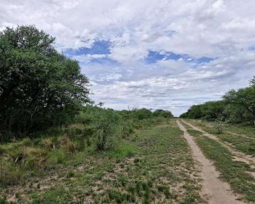Villa Valeria, General Roca, Córdoba - 843 Ha