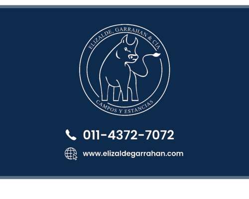 Ba3678 Venta 110 HA. Agricolas Daireaux Buenos Aires