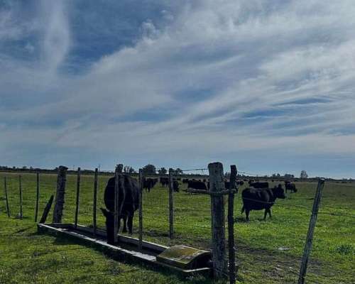 Campo en Venta Sobre Ruta 29. Ranchos