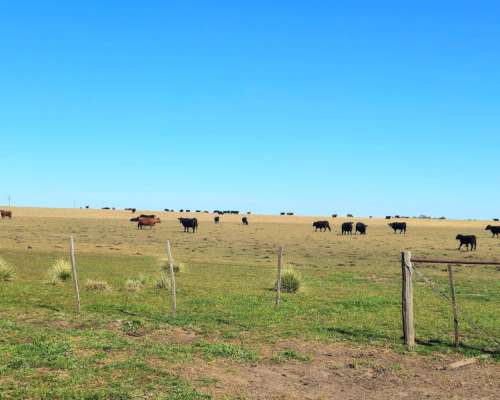 900 Ha Cabildo, Buenos Aires
