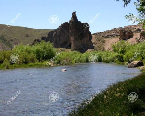 Campo en Venta de 635 Has Bariloche, Costa de Pichileufu