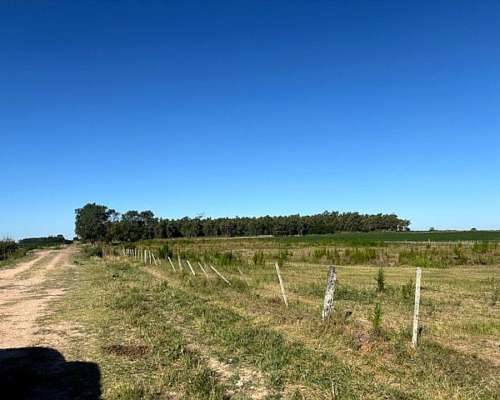 Campo en Venta San Pedro Buenos Aires