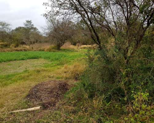 Nueva Esperanza, Pellegrini, Santiago del Estero - 700 Ha
