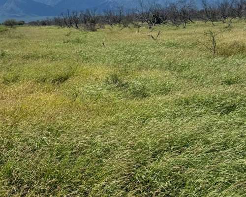 Catamarca 6300 Has Mixtas Desarrolladas
