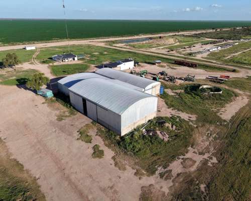 Tobas, Juan Felipe Ibarra, Santiago del Estero - 3.580 Ha