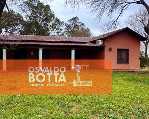 Campo Agricola en Venta 90 Has Bolívar, Buenos Aires