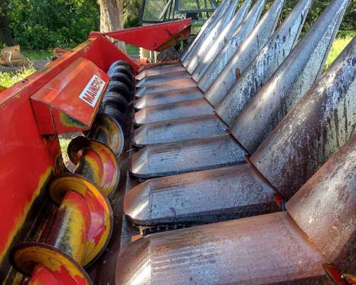 Maicero Mainero 2000 11 a 52 cm