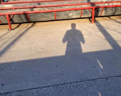 Comederos Móviles para Ganado