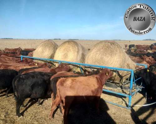 Pasteras Porta Rollos Moviles