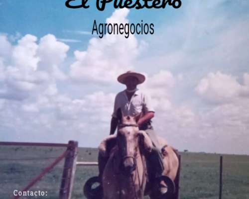 Vendo Campo en Leones Cba.