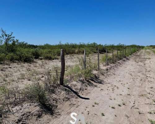 Vende: Campo de 12.342 Hectáreas, Limay Mahuida, la Pampa