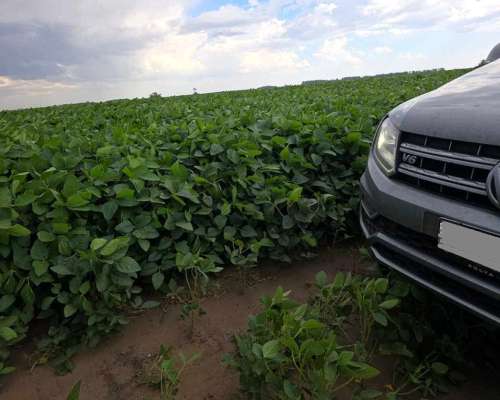 185 Has Agricolas Gral Pinto