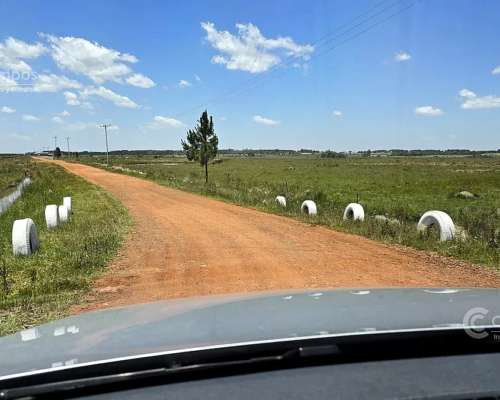 Se Vende Campo de 860 Ha Santo Tomé Corrientes.