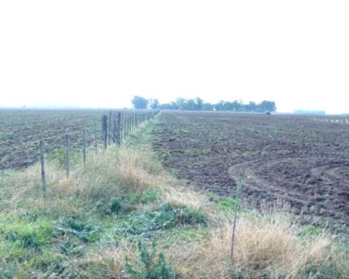 Lp0130 Venta Ganadero 8000 Has Caleu Caleu, la Pampa
