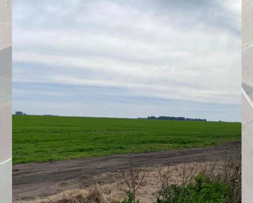 Vendo Campo Agrícola-papero 540ha Sobre Asfalto, Miramar