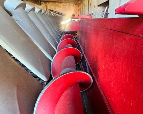 Maicero Maizco Premium 2017