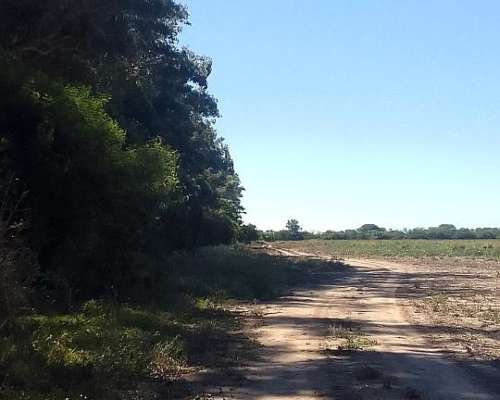 En Alquiler 165 Has Ganaderas. Buen Precio