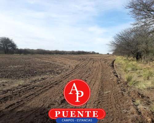 En Venta 750 HA. Chamaicó, la Pampa