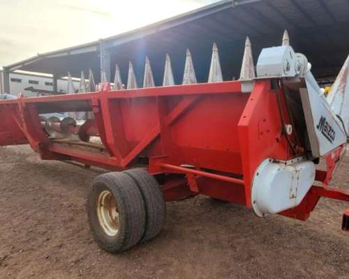 Maicero Maizco - año 2007