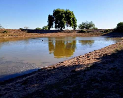 Agua, Luz, Ruta 29, Chepes, Ganadero, Escritura