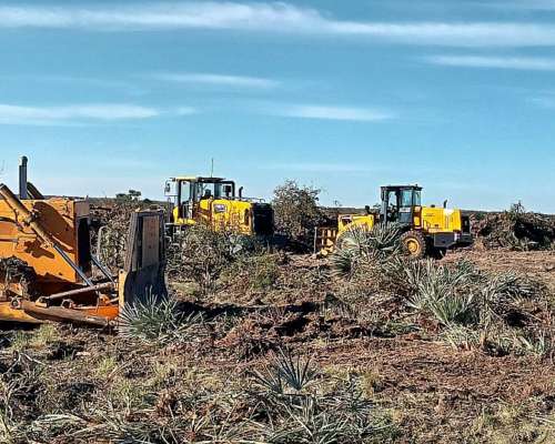 Limpiesa de Campo con Maquina