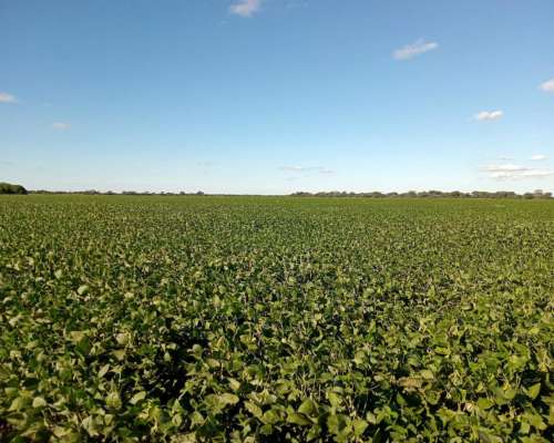 87 Ha en Venta en Capilla de Siton