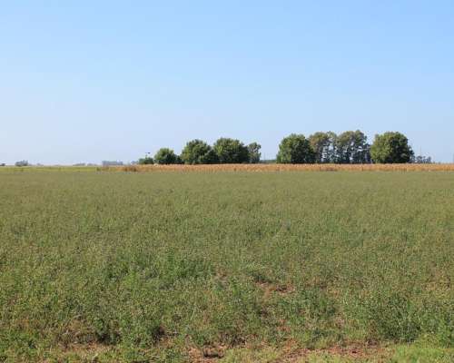 Ba2964 Torres Lujan Buenos Aires