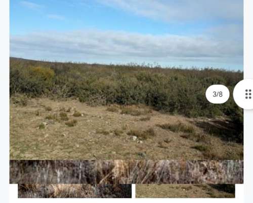 Hectárea en la Pampa Puelen