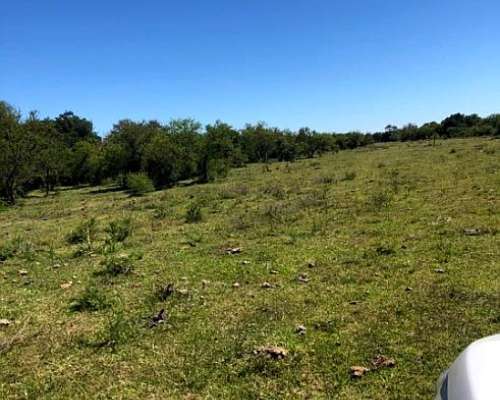 Especial Inversor, Salta