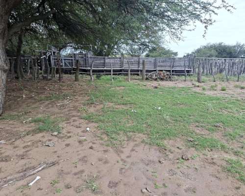 Jaguel del Monte, Loventué, la Pampa - 25.700 Ha