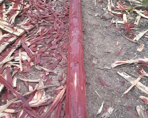 Postes de Quebracho Colorado