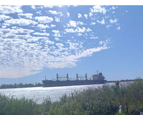 Puerto Lote de 890mts Frente Río Parana Ramallo San Nicolas