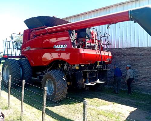 Cosechadora - Case IH - 6150 - 2021 - Piloto - Draper 35p