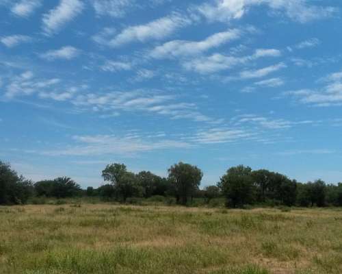 Quilino, Campo muy Bien Desarrollado, Desmontado