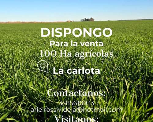100 Ha Agrícolas en Venta la Carlota
