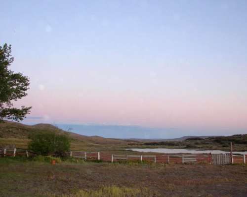 Estancia 26.000 Ha Santa Cruz Zona Perito Moreno
