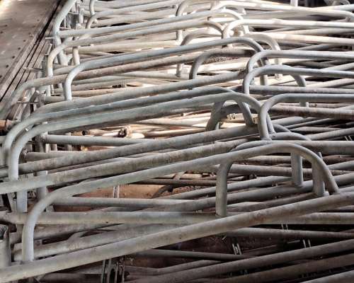 Jaulas Maternidad Termoplast Galvanizada