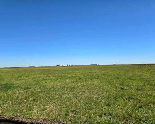 320 Has Mixtas Villegas Cañada Seca